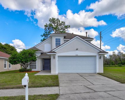 3519 Clear Stream Drive, Orlando