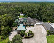 11450 Nellie Oaks Bend, Clermont image