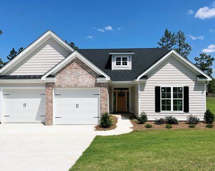 310 WHITHORN Court, Aiken