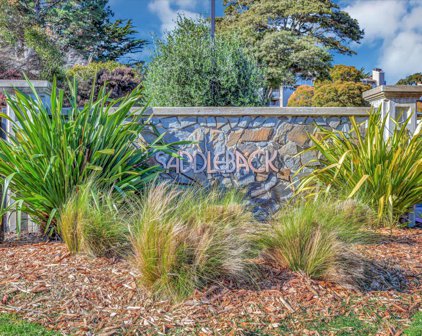 2106 Wildflower CT, Daly City