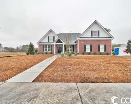 1300 Whooping Crane Dr., Conway