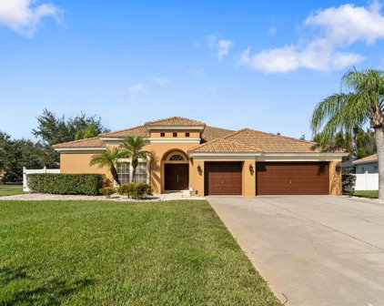 6454 Chatham View Court, Windermere