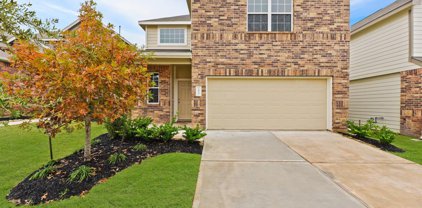 2931 August Mist Court, Conroe