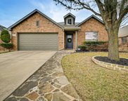 1229 Roping Reins Way, Fort Worth image
