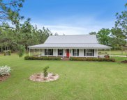 4207 S County Rd 49, Slocomb image