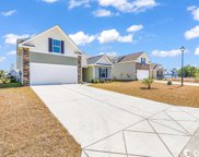 356 Borrowdale Dr., Conway image