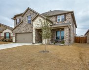 553 Passionflower  Drive, Fort Worth image