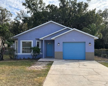 224 E 17th Street, Apopka