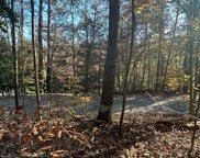 LOT 3 Piney Point Road, Blairsville image