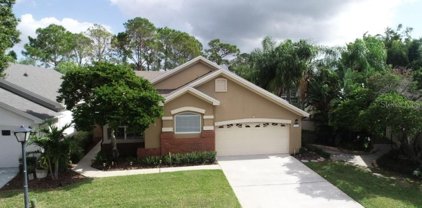 14405 Windchime Lane, Orlando