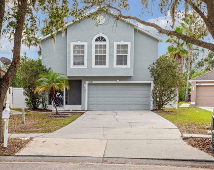 11623 Ivy Flower Loop, Riverview