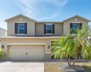 11129 Golden Silence Drive, Riverview image