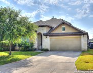 17918 Oxford Mt, Helotes image