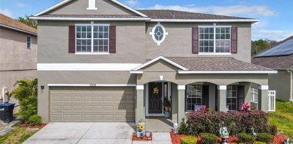13279 Early Frost Circle, Orlando