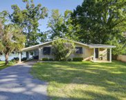 115 Libby Ariail Court, Chapin image