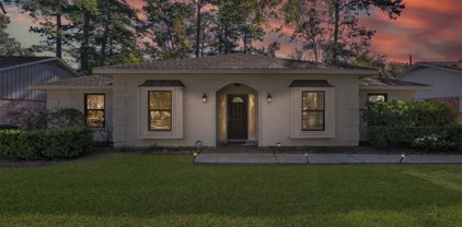 2210 Deer Valley Drive, Spring