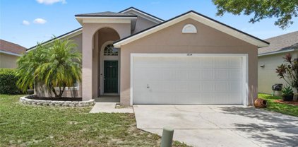 1614 Red Ruffle Court, Gotha