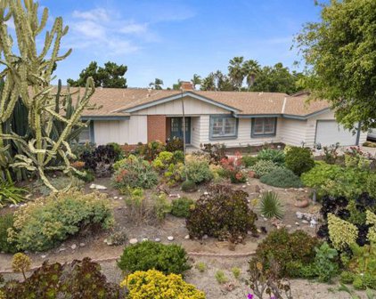 1065 Calle Mesita, Bonita