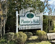 46 Planters Walk Drive, Snow Hill image