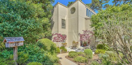 6 Wyndemere Vale, Monterey