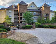 111 Sandpiper Lane, Bean Station image