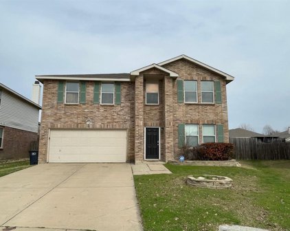 1741 Baxter Springs  Drive, Fort Worth
