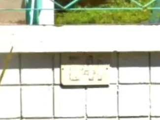 541 Lauiki Sign