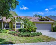 1153 Clippers Way, Tarpon Springs image
