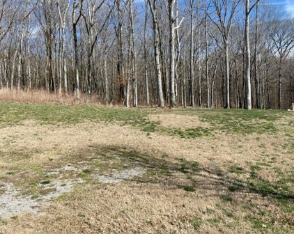 8504 Heirloom Blvd (LOT 7067), College Grove