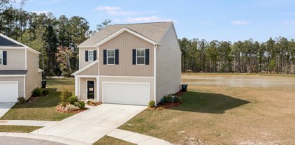 137 Blossom Wood Lane, Summerville