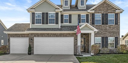 11987 Altoids Drive, Noblesville