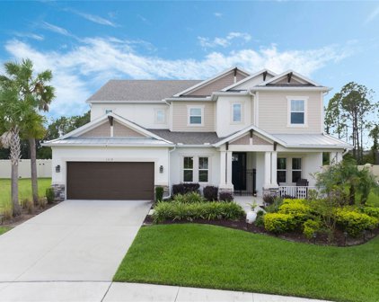 1218 Hillcrest View Loop, Apopka