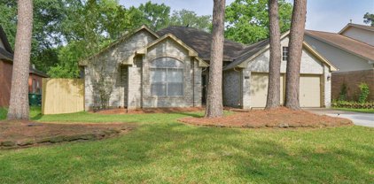 5443 Fern Park Drive, Kingwood