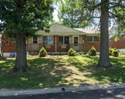 210 Carrington  Lane, St Louis image