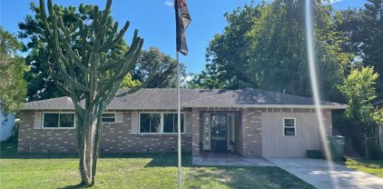 312 Dixie Drive, Holly Hill