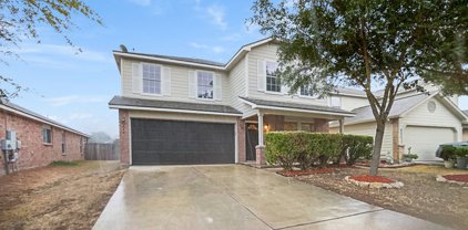 330 Fontana Albero, San Antonio