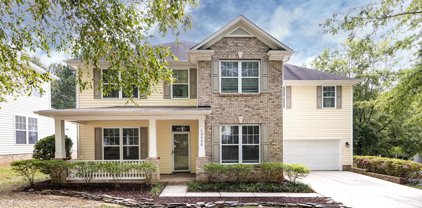 13520 Alston Forest  Drive, Huntersville