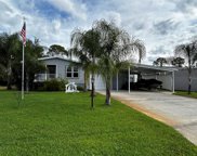219 Sher Lane, Debary image