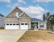 417 Brookridge Drive, Chapin image