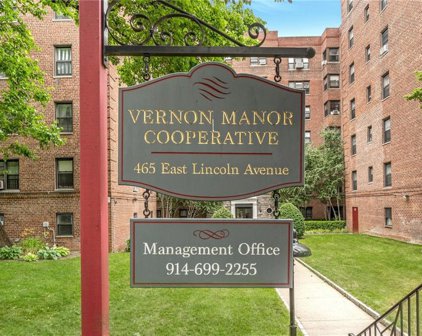 465 E Lincoln Avenue Unit #316, Mount Vernon