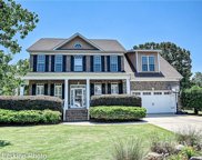 793 Woburn Abbey  Drive, Fort Mill image