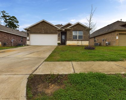 14206 Glacier Bay Court, Conroe