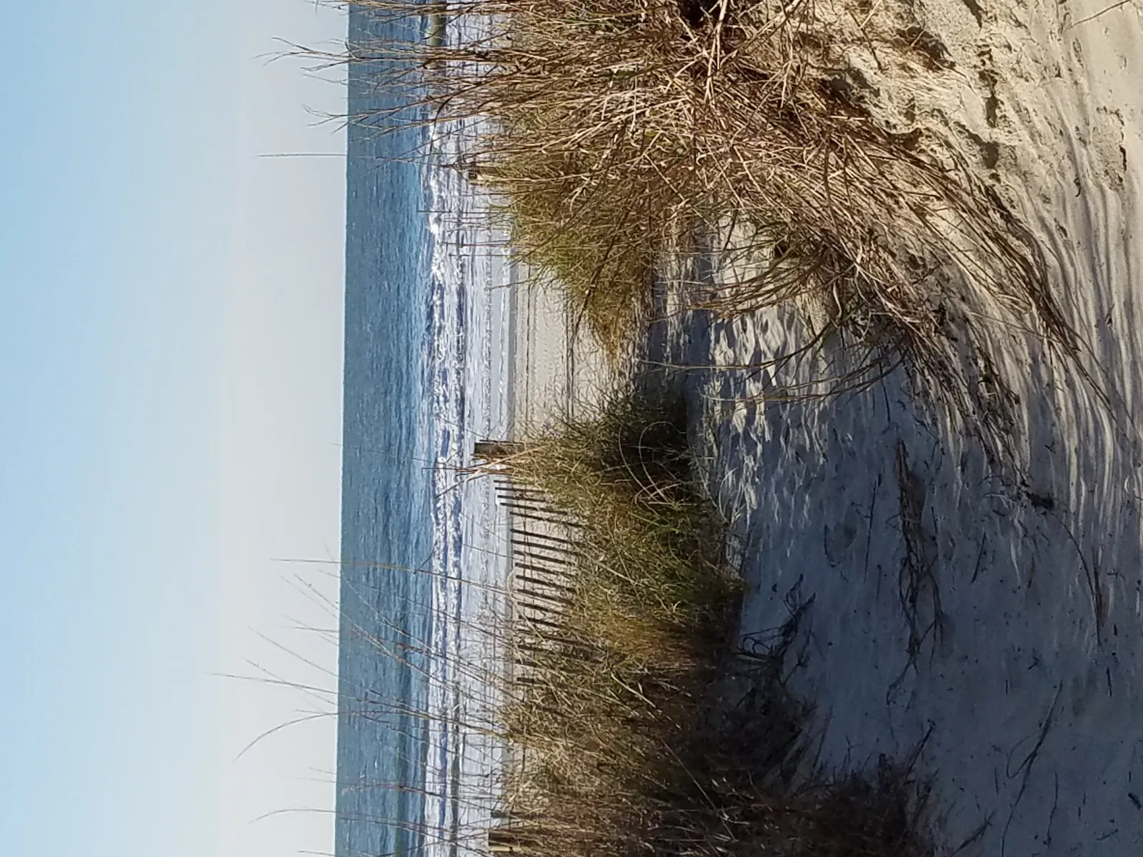 Sandy dunes along the Grand Strand coast
