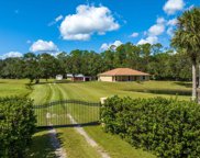 336 Elizabeth Lane, Osteen image