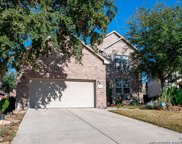 15506 Portales Pass, Helotes image