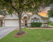 13135 Moselle Forest, Helotes image