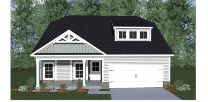 230 SWITCHGRASS RUN, Aiken