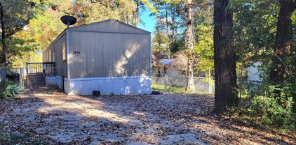 13154 S Lee Shore Drive, Willis