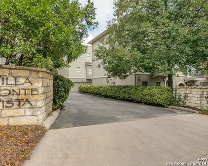 231 E Mulberry Ave Unit 1, San Antonio