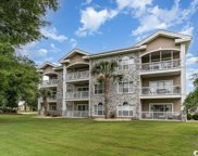 4757 Wild Iris Dr. Unit 32-201, Myrtle Beach image